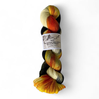 Atelier Franziska Uhl On The Socks 2025