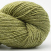 04 Limette