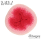 552 Pink to Wink